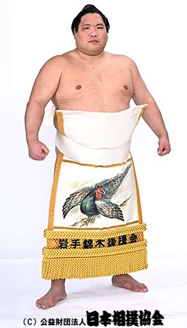 sumo or jp.